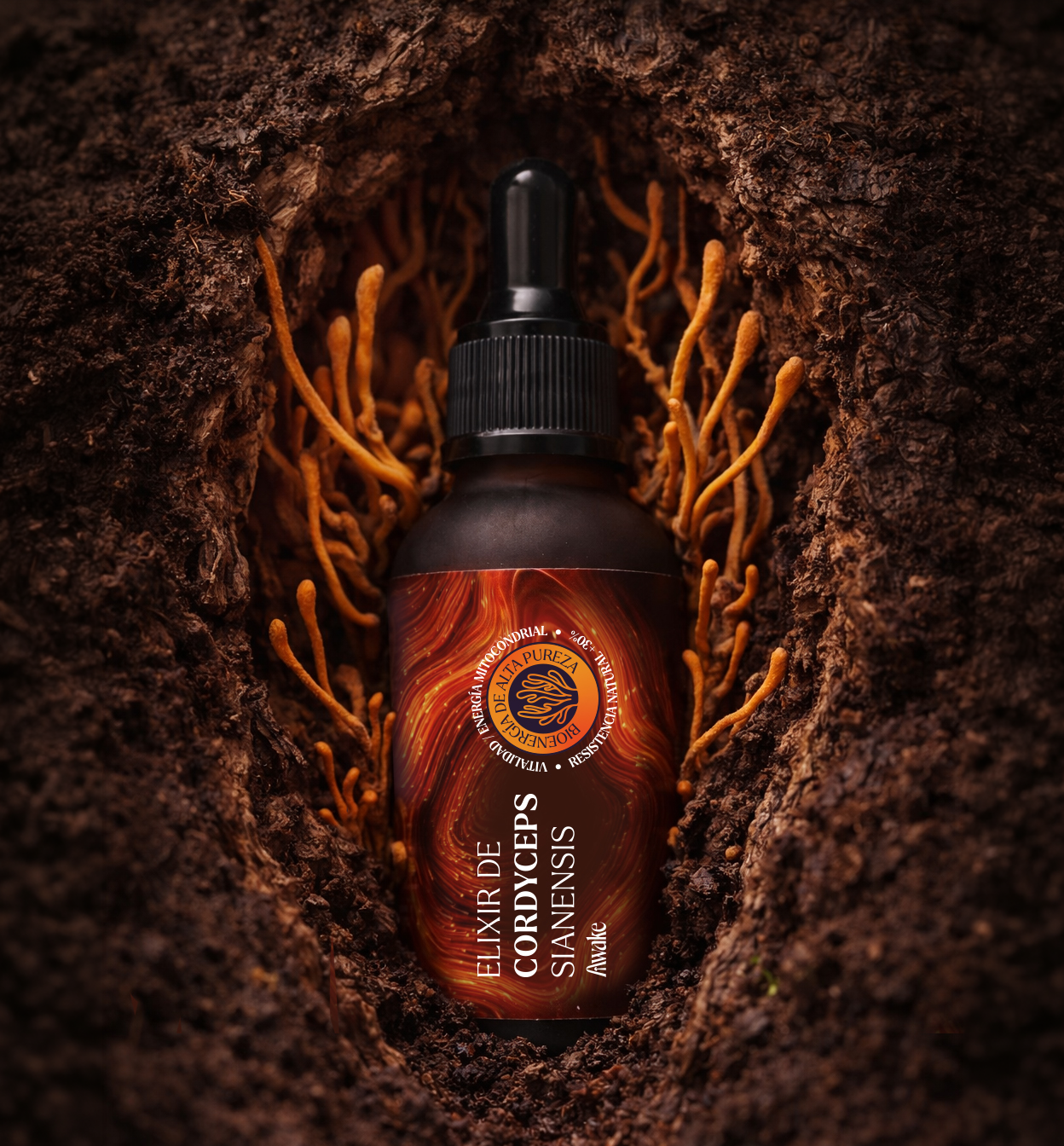 Elixir de Cordyceps de Awake entre tierra y hongos Cordyceps